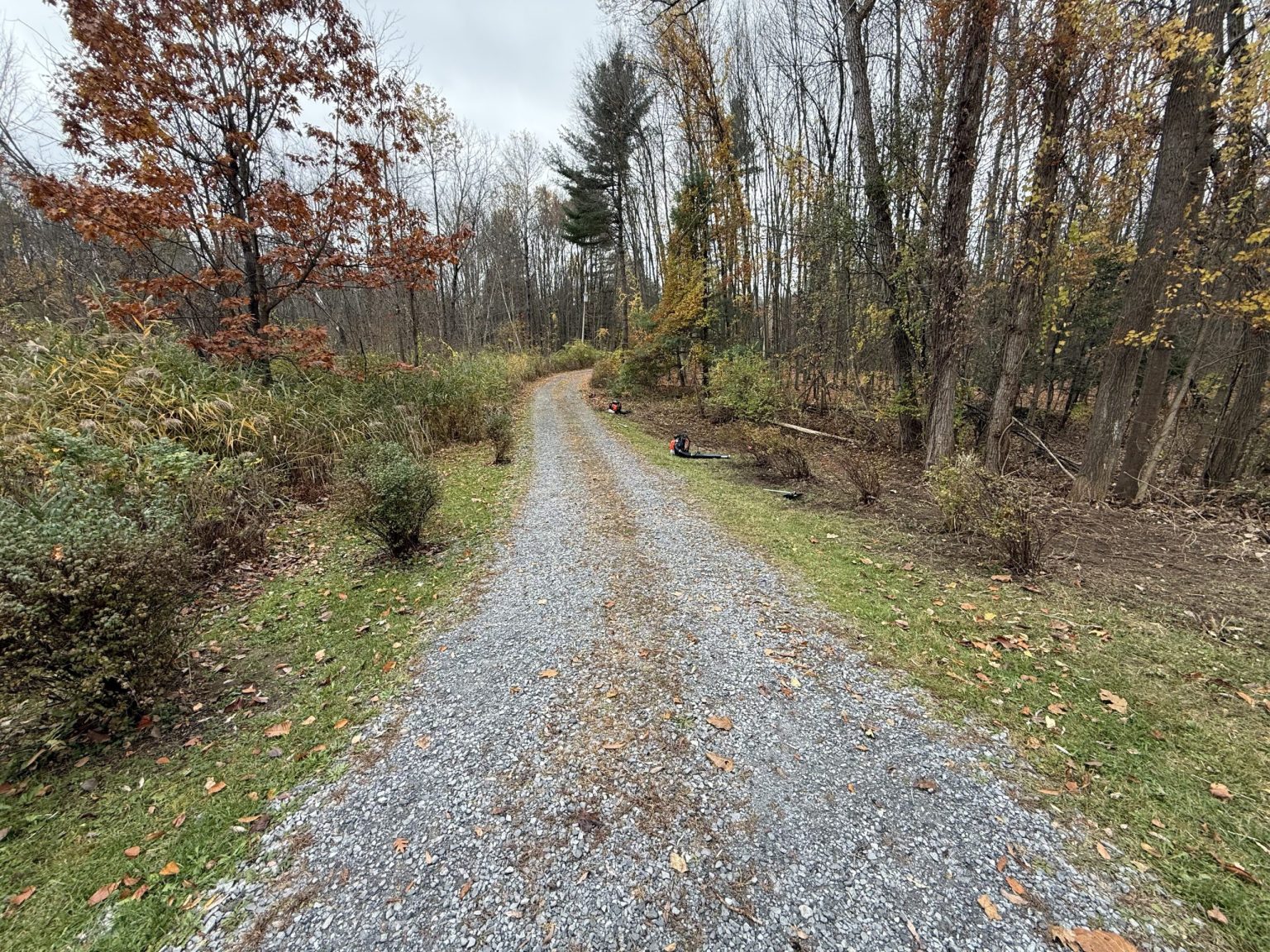 Brush clearing along a driveway in Southern Saratoga County