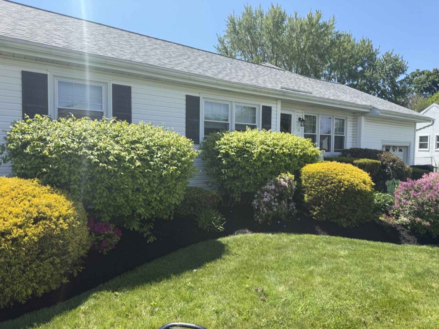 Mulch Refresh in Albany