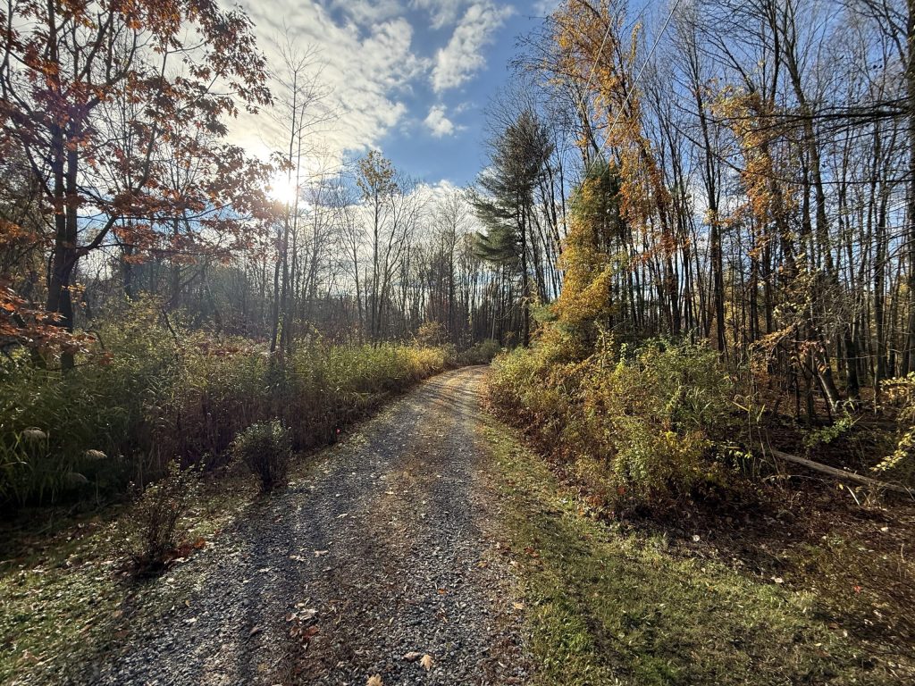 Brush Clearing in Burnt Hills