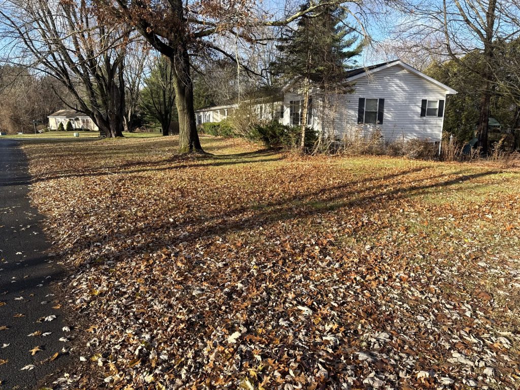 Fall Cleanup in Country Knolls South