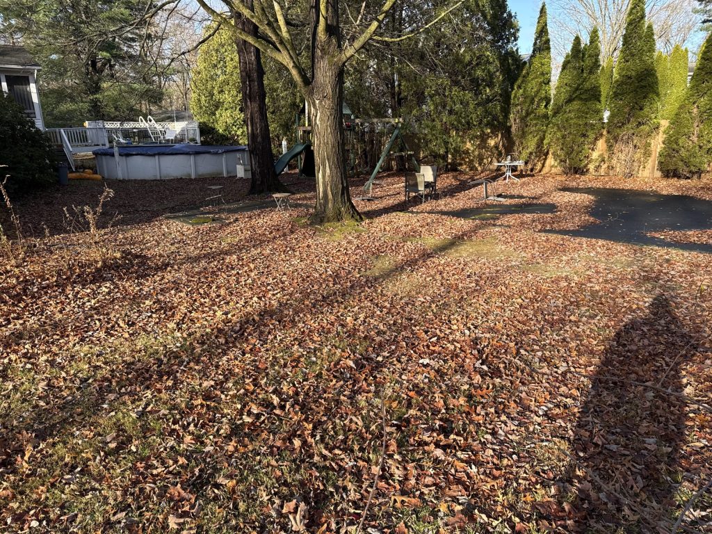 Fall Cleanup in Country Knolls South