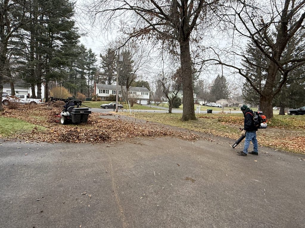 Fall Cleanup in Clifton Park