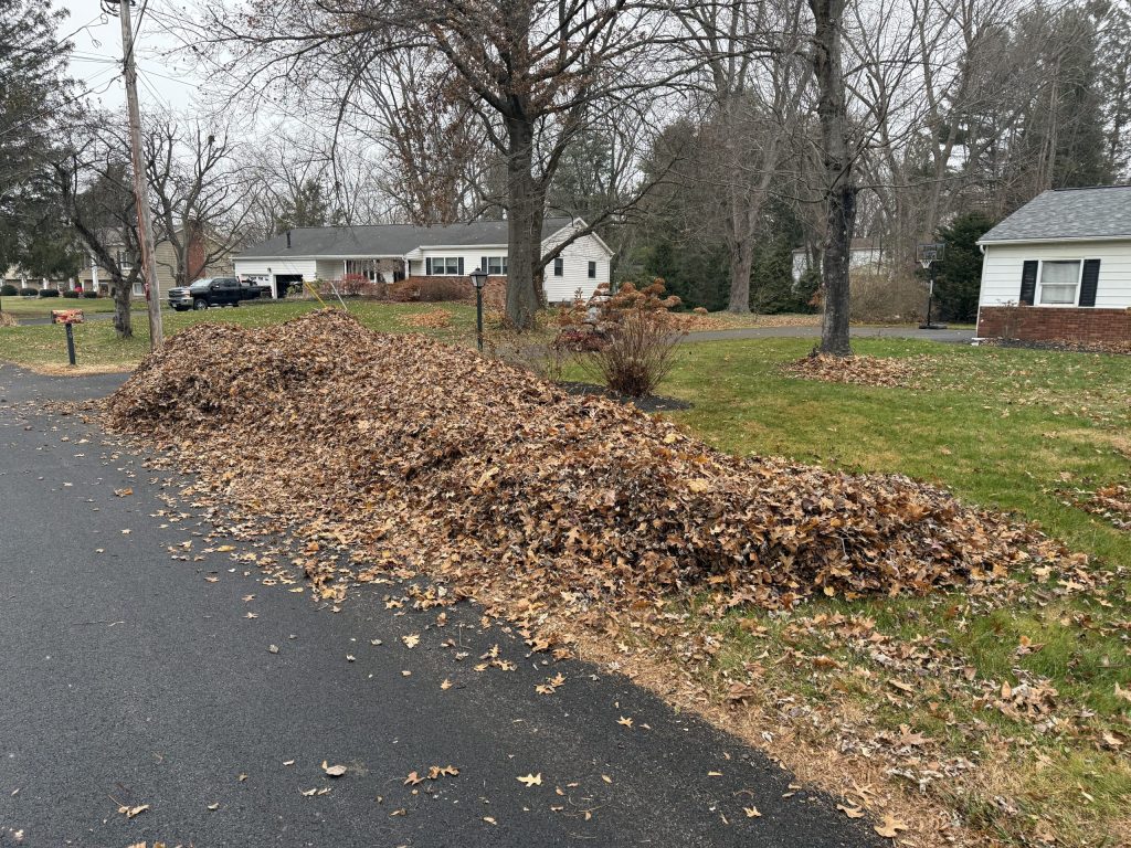 Fall Cleanup in Clifton Park