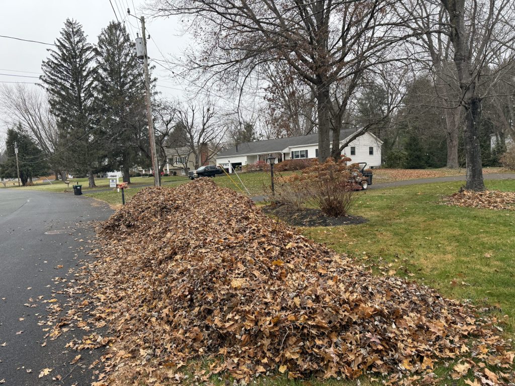 Fall Cleanup in Clifton Park