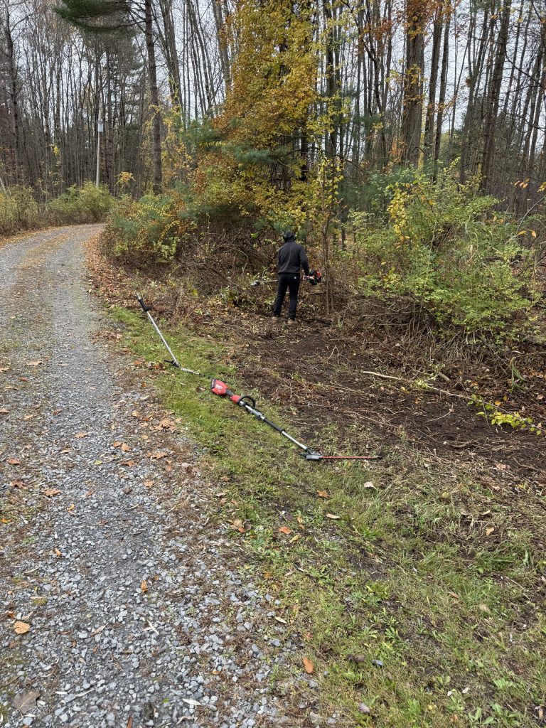 Brush Clearing in Burnt Hills