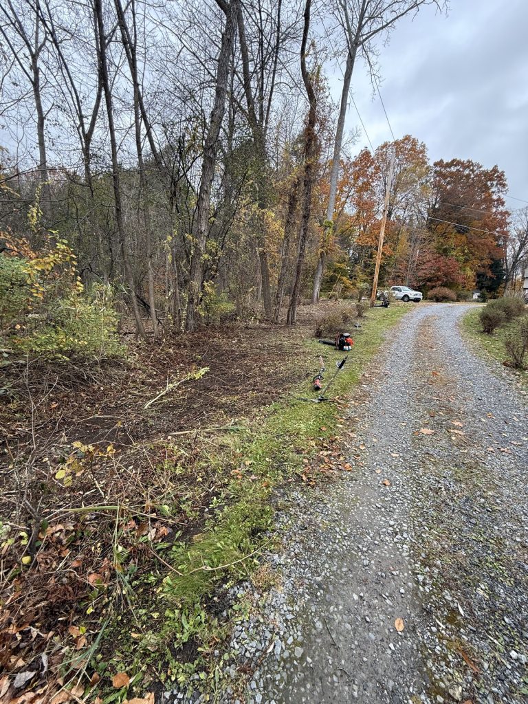 Brush Clearing in Burnt Hills