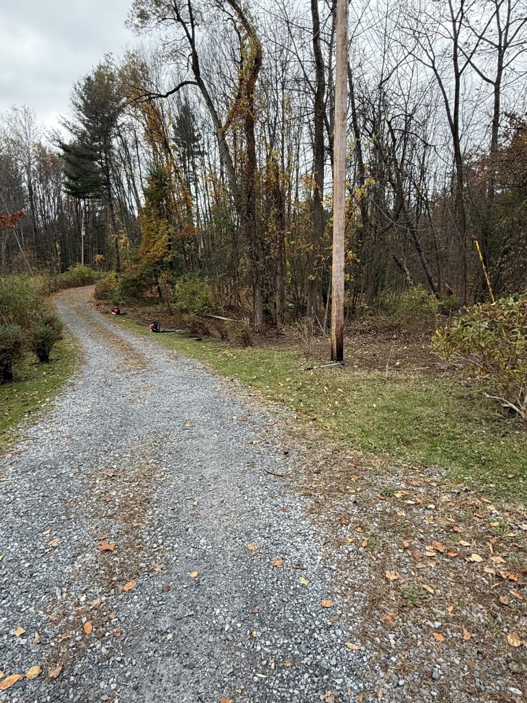 Brush Clearing in Burnt Hills