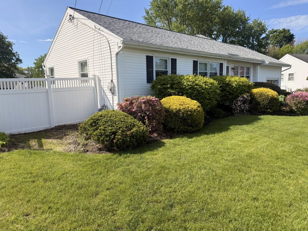 Mulch Refresh in Albany