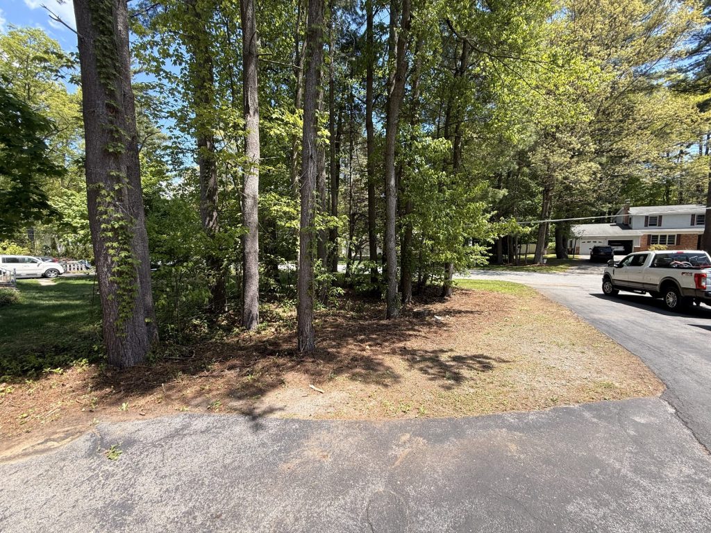 Woods Cleanup — Ballston Lake