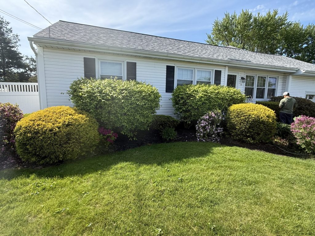 Mulch Refresh in Albany