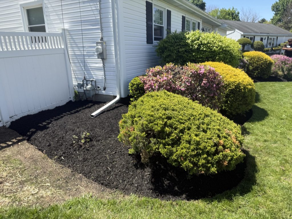 Mulch Refresh in Albany