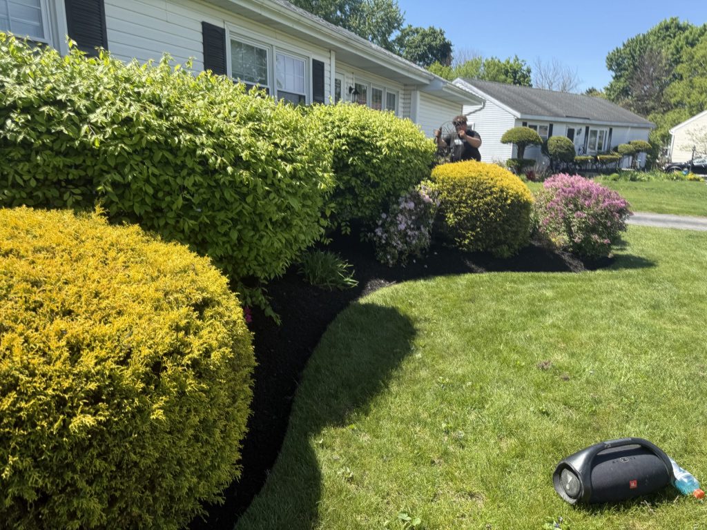 Mulch Refresh in Albany
