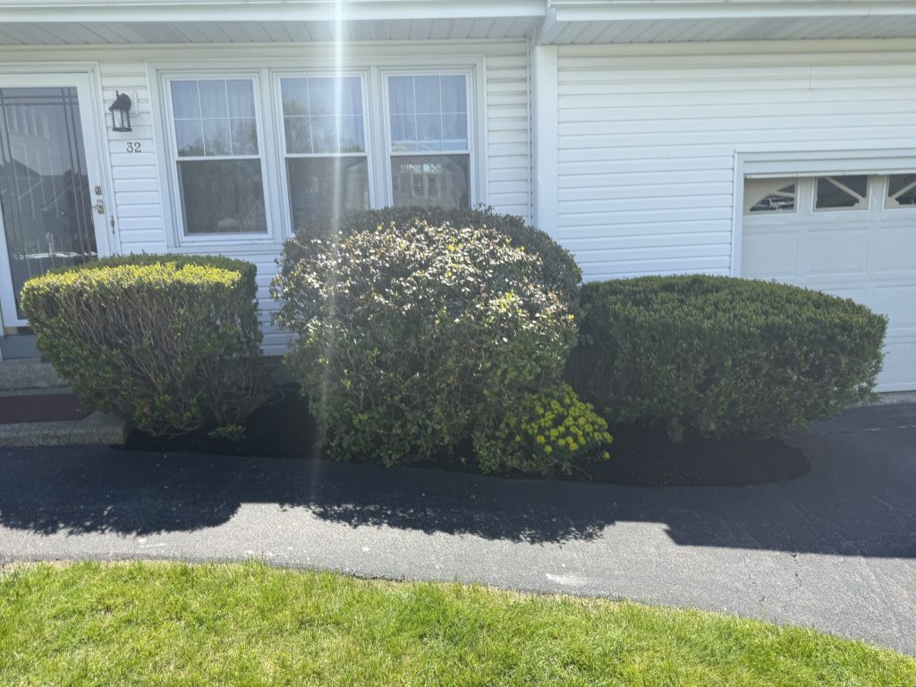 Mulch Refresh in Albany