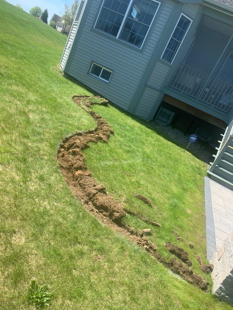 Back patio redesign in Sheldon Hills photo 3