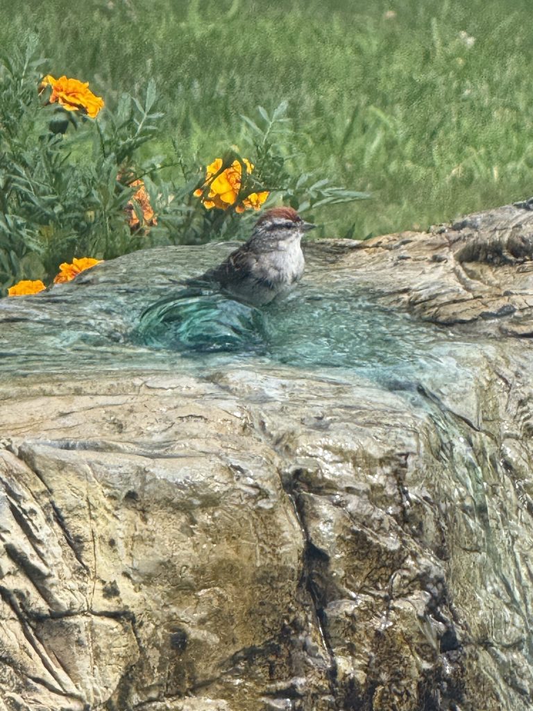 Bubbling Rock Installation in Ballston Lake
